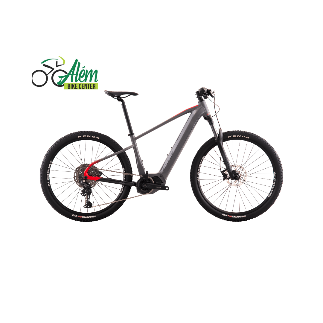 Bicicleta Elétrica Big Wheel 8.3 Oggi
